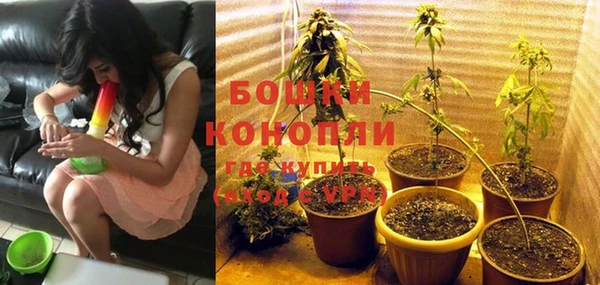 спайс Баксан