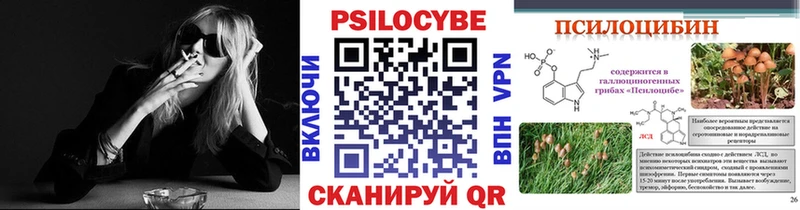 Псилоцибиновые грибы Magic Shrooms  darknet состав  Городец  наркошоп 